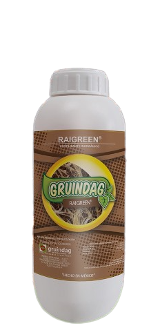 RAIGREEN (ENRAIZANTE ORGÁNICO CON AMINOACIDOS) (1L, 5L y 20L ) Gruindag