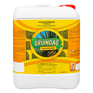PAQUETE BRIXAVE (N+K) (5L) GRUINDAG
